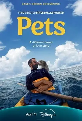 《宠 Pets》：它们是家人，是治愈，更是我们内心最柔软的角落