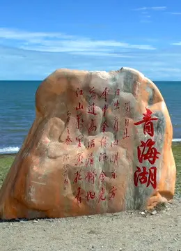 《丝绸之路青海道》：这条古老商道的故事，比你想的要精彩绝伦！